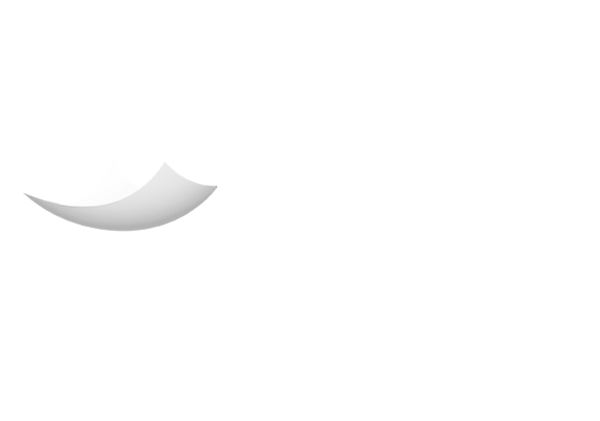 prologistik logo