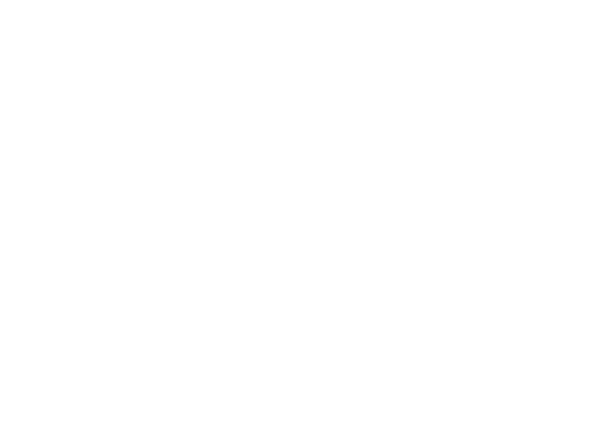 Robovox logo