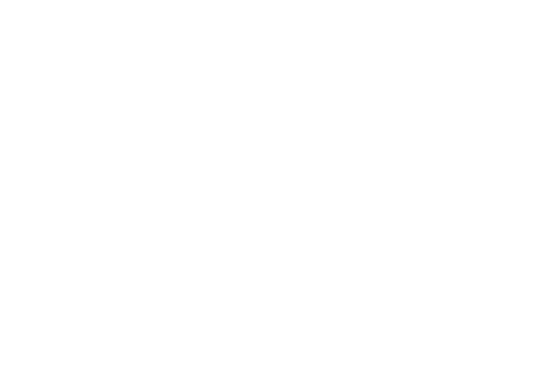 Valeo logo